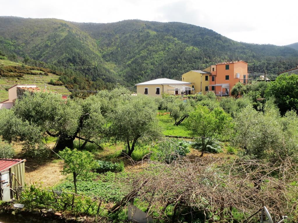 Creuza De 5 Terre Villa Volastra Eksteriør billede